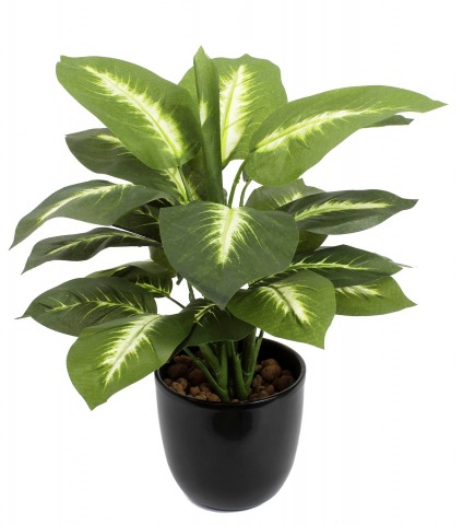 Dieffenbachia camilla artificiel