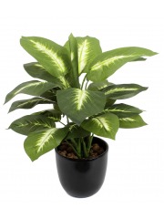 Dieffenbachia camilla artificiel