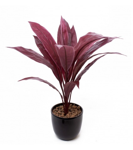Dracaena artificiel cordyline