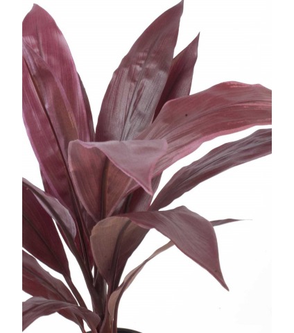 Dracaena artificiel cordyline