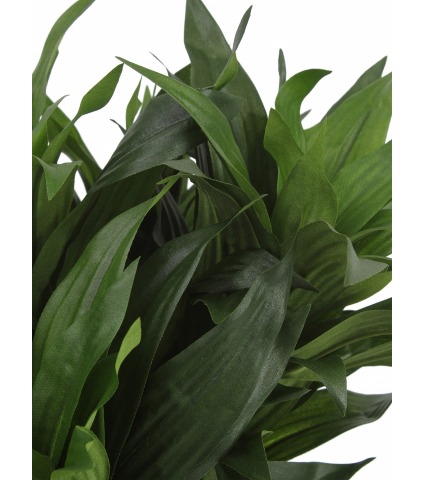 Dracaena fragrans artificiel