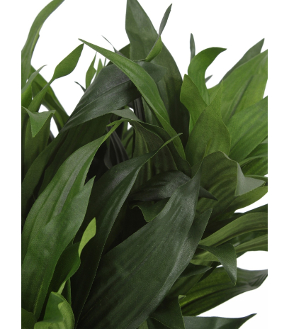 Dracaena fragrans artificiel