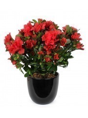 Azalée artificielle rouge