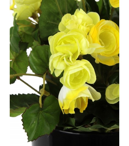Bégonia artificiel jaune