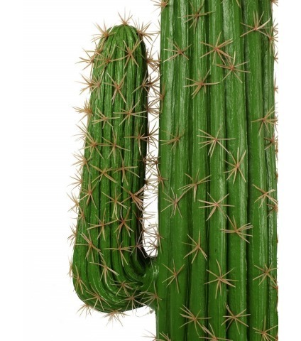 Cactus artificiel mexico
