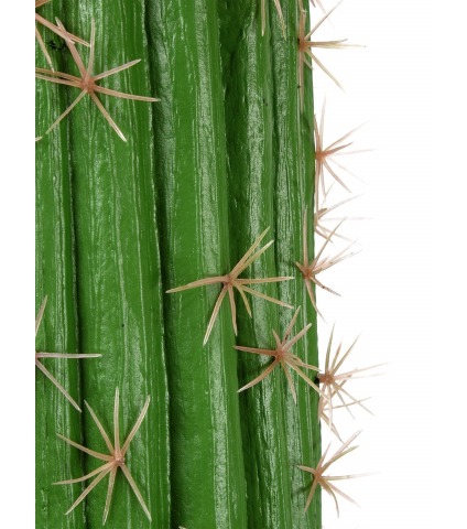 Cactus artificiel mexico