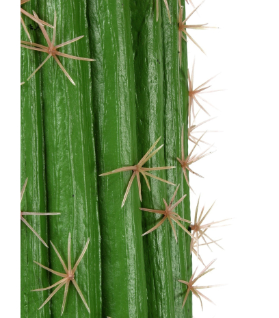 Cactus artificiel mexico