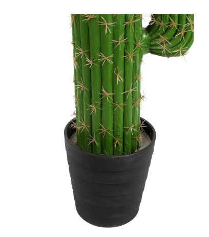 Pot