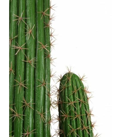 Cactus artificiel mexico