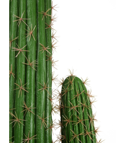 Cactus artificiel mexico
