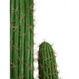 Cactus artificiel mexico