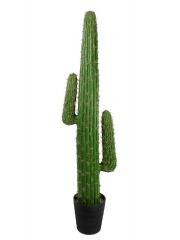 Cactus artificiel mexico