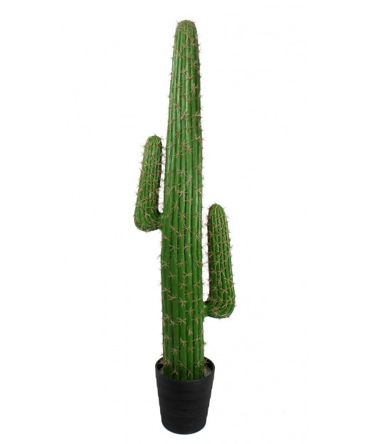 Cactus artificiel mexico