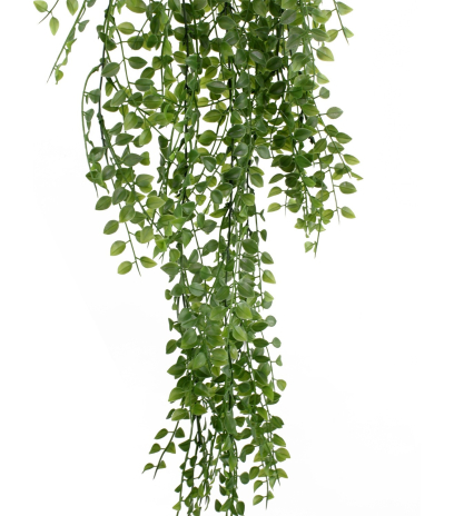 Chute d'eucalyptus artificielle