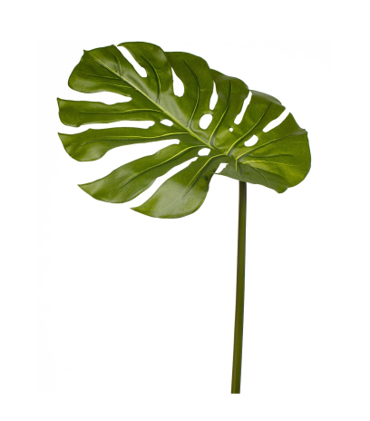 Feuille de philodendron artificielle