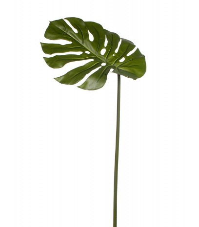 Feuille de philodendron artificielle