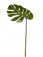 Feuille de philodendron artificielle