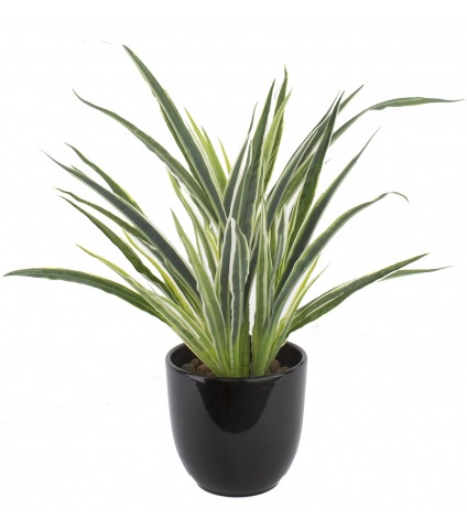 Dracaena artificiel panaché