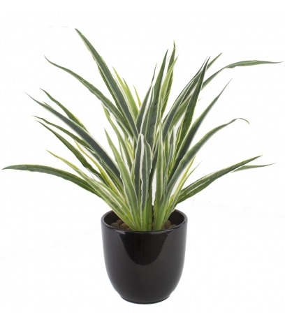 Dracaena artificiel panaché