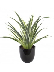 Dracaena artificiel panaché