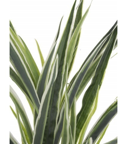Dracaena artificiel panaché