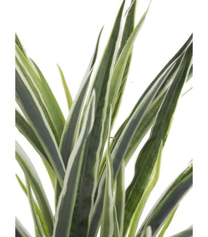 Dracaena artificiel panaché