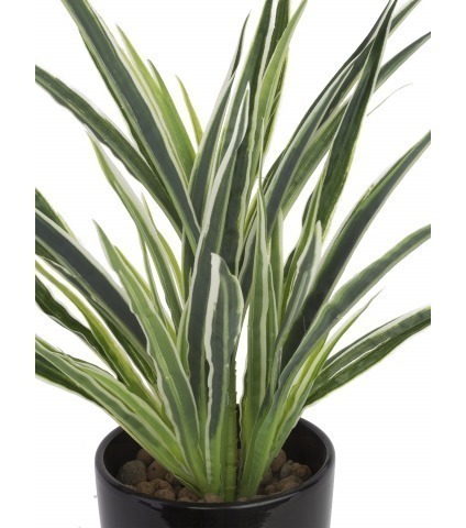 Dracaena artificiel panaché