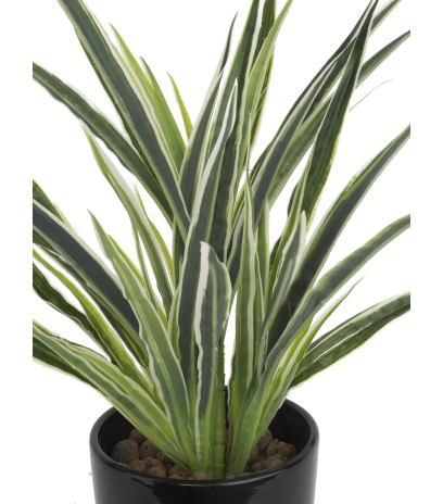 Dracaena artificiel panaché