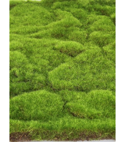 Mousse artificielle en plaque