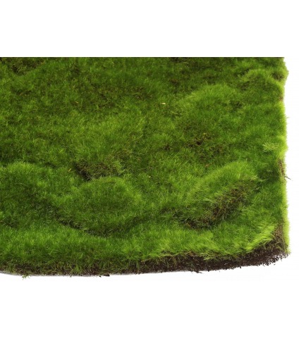 Mousse artificielle en plaque