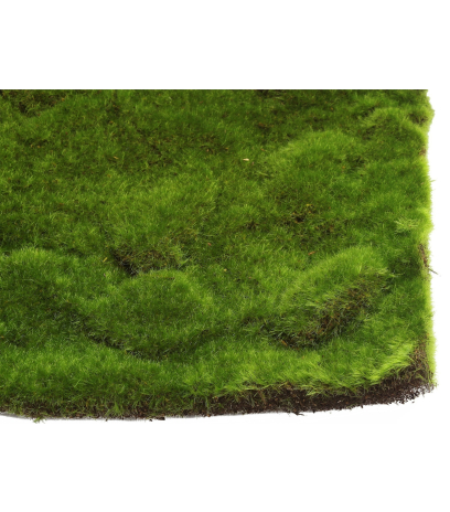 Mousse artificielle en plaque