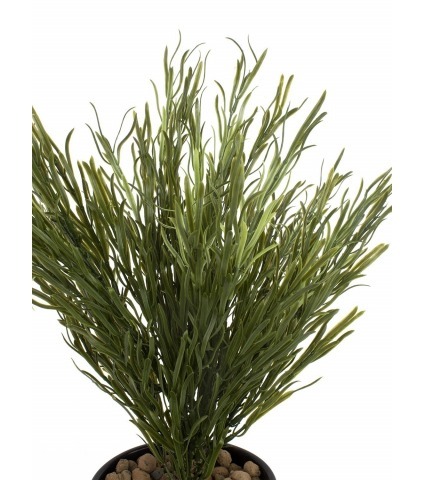 Podocarpus artificiel buisson
