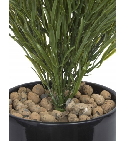 Podocarpus artificiel buisson