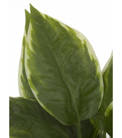 Hosta artificiel mini