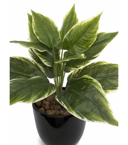 Hosta artificiel mini