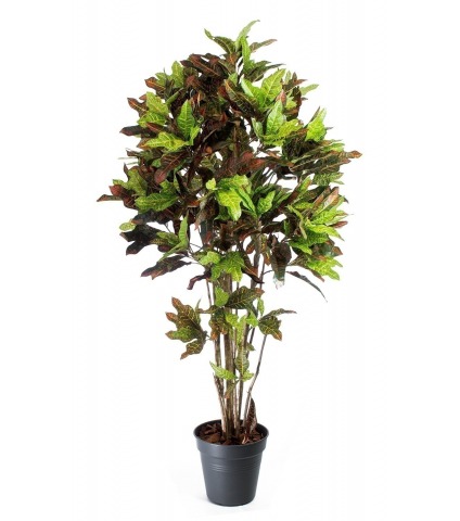 Croton artificiel