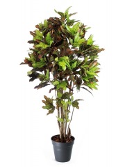 Croton artificiel