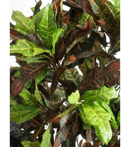 Croton artificiel