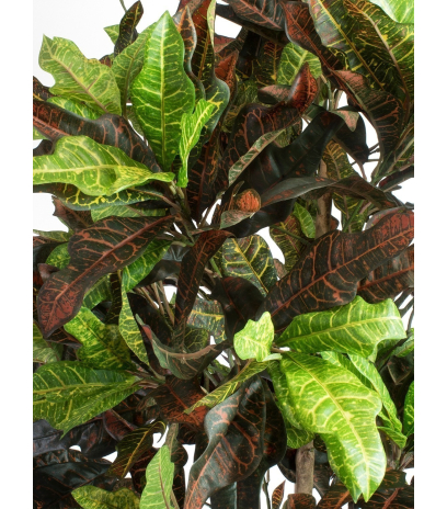 Croton artificiel
