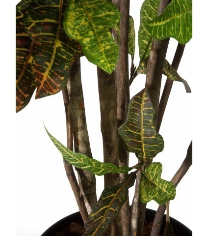 Croton artificiel
