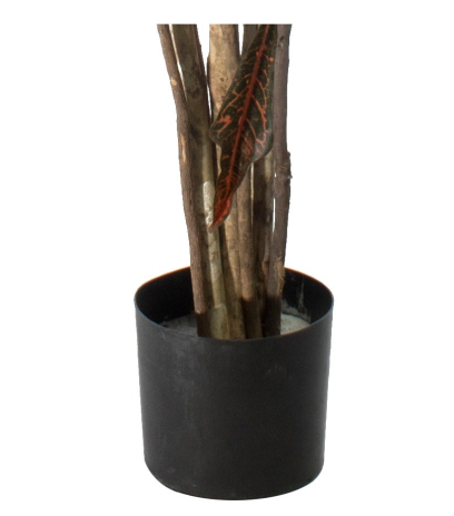 Pot
