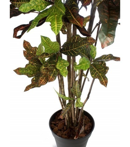 Croton artificiel