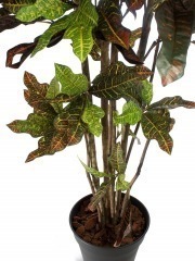 Croton artificiel