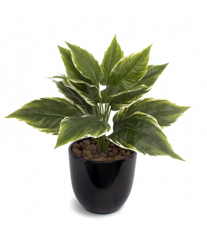 Hosta artificiel mini