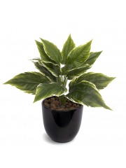 Hosta artificiel mini