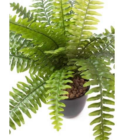 Fougère de Boston artificielle