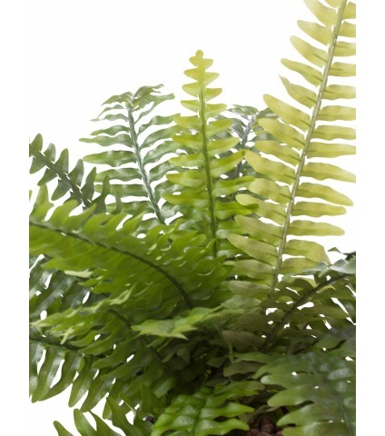 Fougère de Boston artificielle