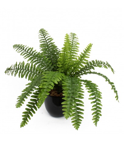 Fougère de Boston artificielle