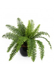 Fougère de Boston artificielle