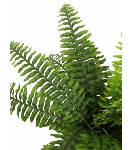 Fougère de Boston artificielle